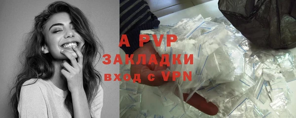 ПСИЛОЦИБИНОВЫЕ ГРИБЫ Осинники