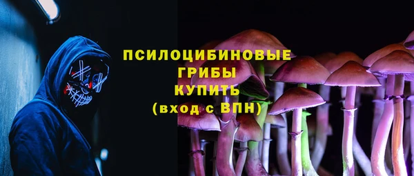 2c-b Нязепетровск